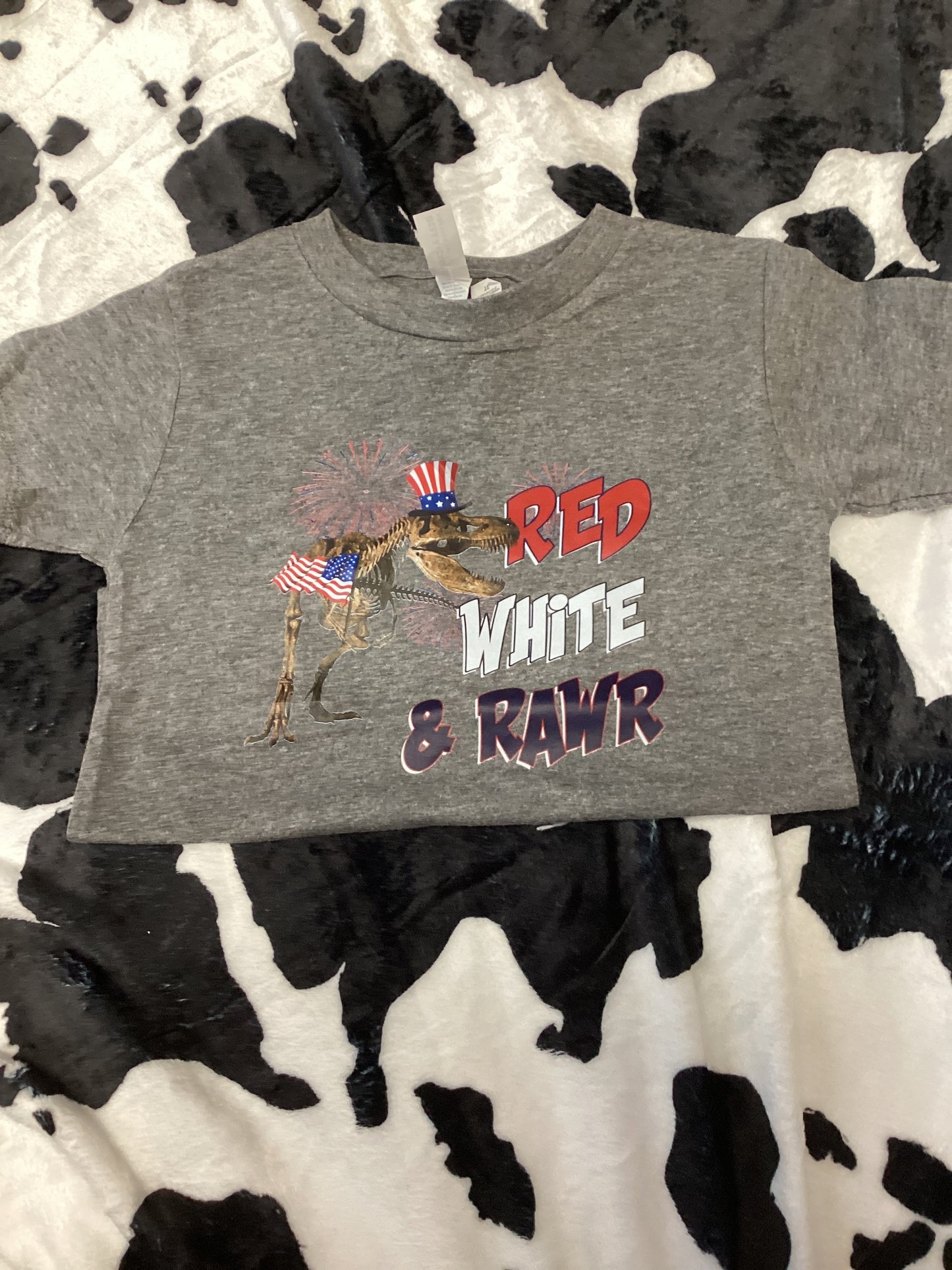 Kids Dino shirt