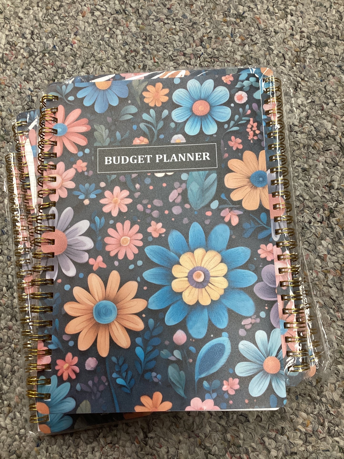 Budget planner