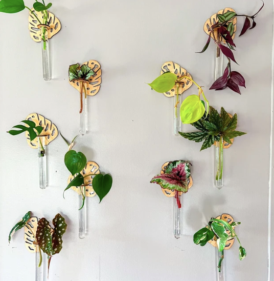Greens N' Things LLC - Test Tube Propagation Hanger: Loose