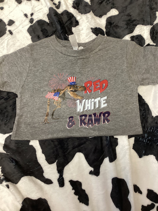 Kids Dino shirt