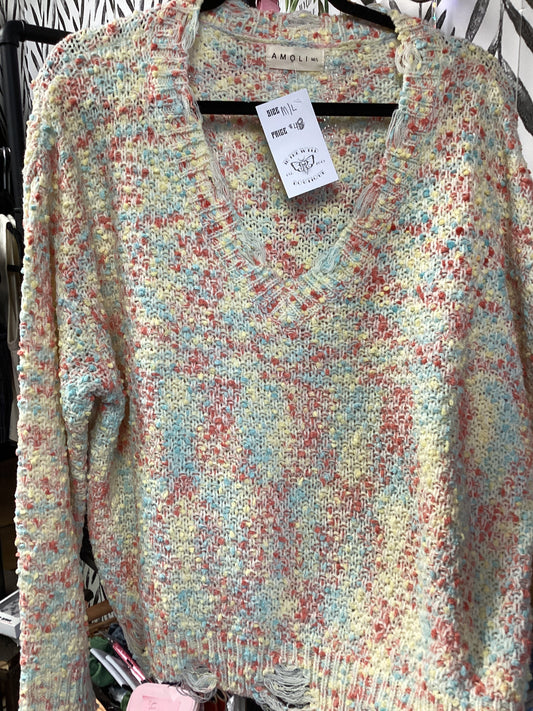 Amoli Multi-Colored Sweater